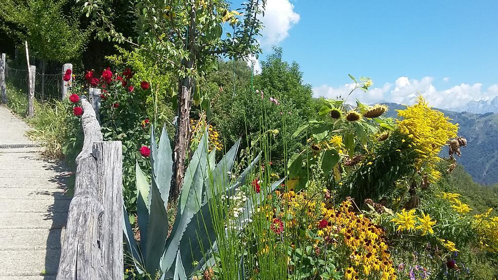גראבדונה Agriturismo Zertin מראה חיצוני תמונה