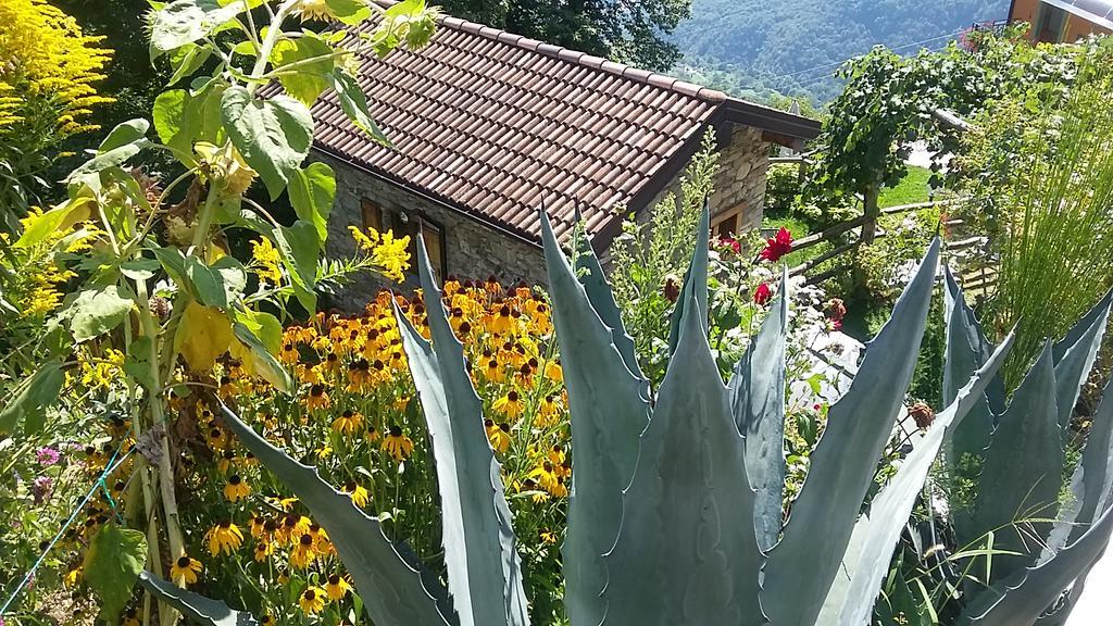 גראבדונה Agriturismo Zertin מראה חיצוני תמונה
